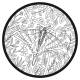 PAPILLONS 50 COLORIAGES
