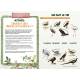 BACK TO NATURE - CAHIER DE VACANCES ADULTE