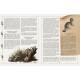 MYSTERES & LEGENDES DES ANIMAUX DE FRANCE