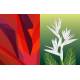 NATURE EXTRAORDINAIRE - STICKERS MOSAIQUE