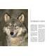 LE LOUP