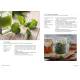 RECETTES DE GLANAGE