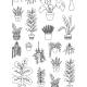 JUNGLE INTERIEURE - 20 POSTERS A COLORIER