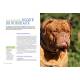 LE DOGUE DE BORDEAUX