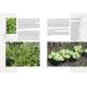 PLANTES AROMATIQUES ET MEDICINALES SAUVAGES