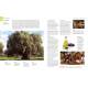 ENCYCLOPEDIE ILLUSTREE DU REGNE VEGETAL