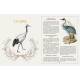 MYSTERES & LEGENDES DES ANIMAUX DE FRANCE