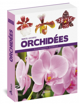 ENCYCLOPEDIE VISUELLE ORCHIDEES