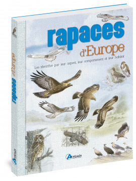 RAPACES D'EUROPE
