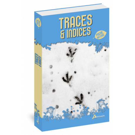 TRACES & INDICES