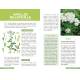 LES PLANTES SAUVAGES BIENFAISANTES ET COMESTIBLES