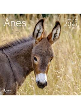 CALENDRIER ANES 2027