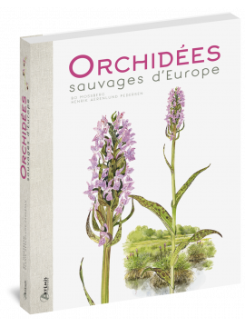 ORCHIDEES SAUVAGES D'EUROPE