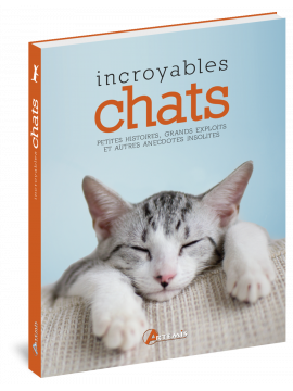 INCROYABLES CHATS
