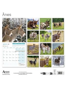 CALENDRIER ANES 2027