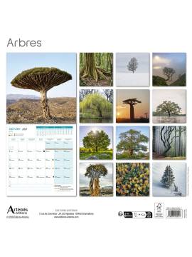 CALENDRIER ARBRES REMARQUABLES 2027
