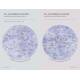 MYTHES ET CONSTELLATIONS