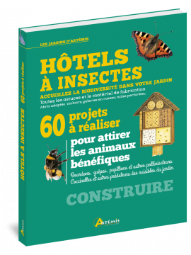 HOTELS A INSECTES 60 PROJETS A REALISER