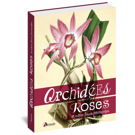 ORCHIDEES ROSES ET AUTRES FLEURS FASCINANTES