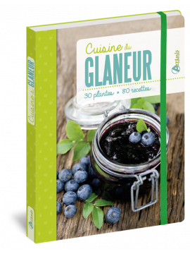 CUISINE DU GLANEUR 30 PLANTES * 80 RECETTES