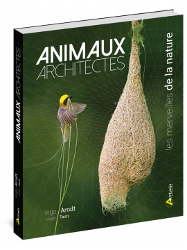 ANIMAUX ARCHITECTES