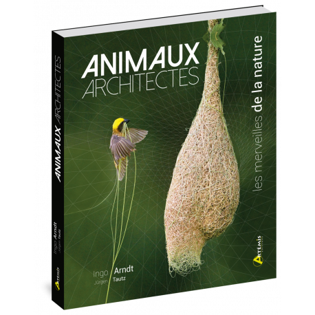 ANIMAUX ARCHITECTES