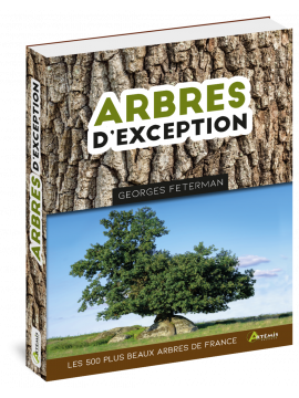 ARBRES D'EXCEPTION LES 500 PLUS BEAUX ARBRES DE FRANCE