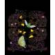 MONDES ENCHANTES TABLEAUX MAGIQUES A GRATTER
