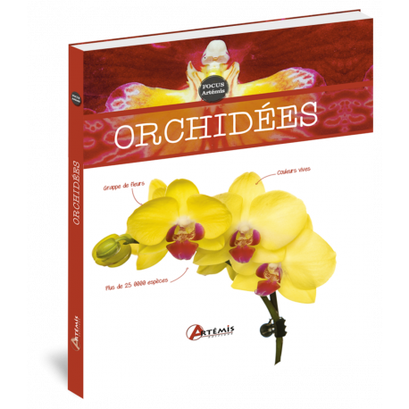 ORCHIDÉES