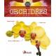 ORCHIDEES