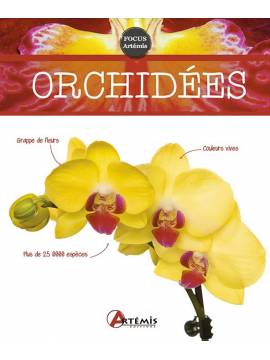 ORCHIDÉES