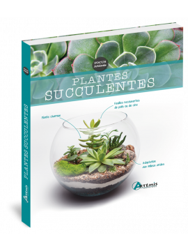 PLANTES SUCCULENTES