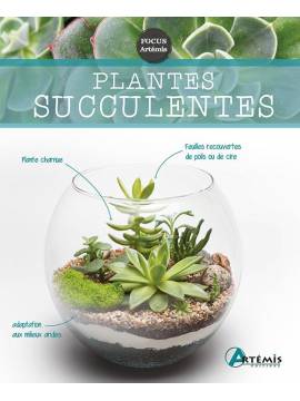 PLANTES SUCCULENTES