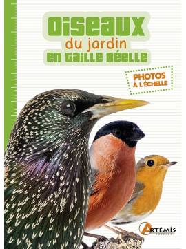 OISEAUX DU JARDIN EN TAILLE REELLE