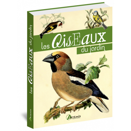 LES OISEAUX DU JARDIN