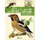 LES OISEAUX DU JARDIN