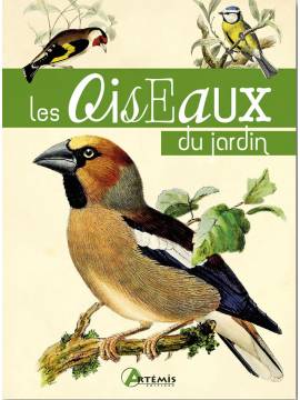 LES OISEAUX DU JARDIN