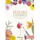 FLEURS À L'AQUARELLE 15 ESQUISSES PRÊTES À PEINDRE