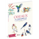 OISEAUX A L'AQUARELLE 15 ESQUISSES PRETES A PEINDRE