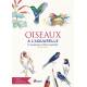 OISEAUX A L'AQUARELLE 15 ESQUISSES PRETES A PEINDRE
