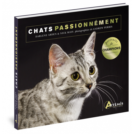 CHATS PASSIONNÉMENT