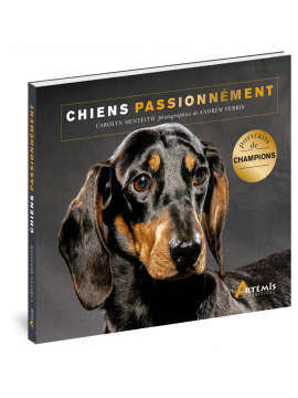 CHIENS PASSIONNEMENT