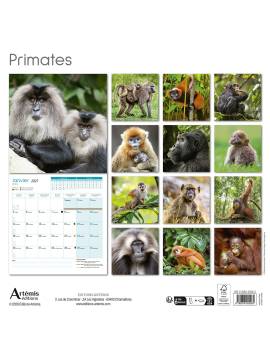 CALENDRIER PRIMATES 2027