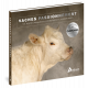 VACHES PASSIONNEMENT
