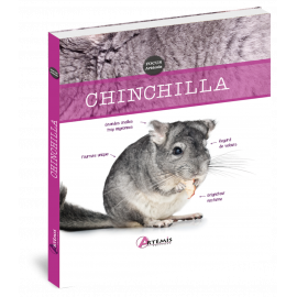 CHINCHILLA