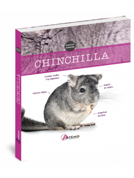 CHINCHILLA