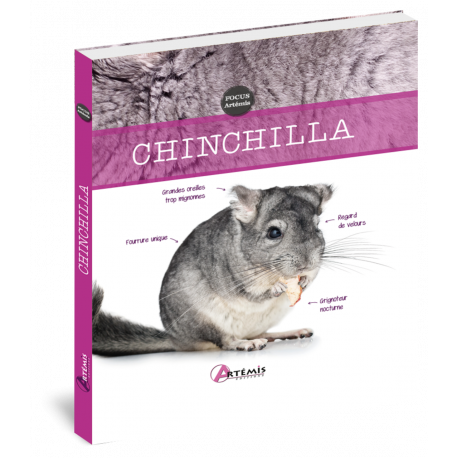 CHINCHILLA