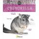 CHINCHILLA