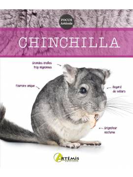 CHINCHILLA