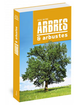 ARBRES & ARBUSTES
